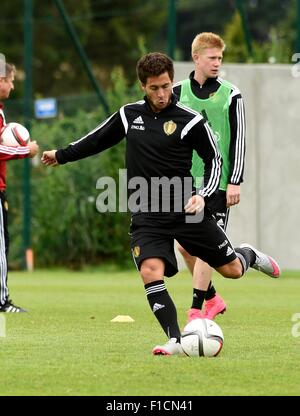 Brüssel, Belgien. 01. Sep, 2015. Die Belgien-Herren-Fußball-Nationalmannschaft trainieren vor Thir kommende Euro 2016 Spiel gegen Bosnien am 3. Sept. Eden Hazard Credit: Action Plus Sport/Alamy Live News Stockfoto