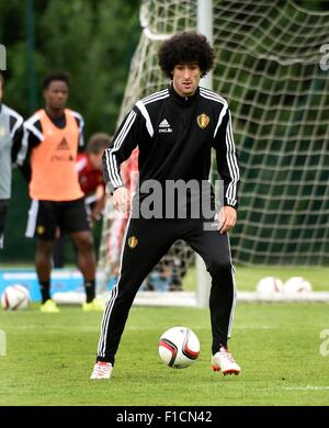 Brüssel, Belgien. 01. Sep, 2015. Die Belgien-Herren-Fußball-Nationalmannschaft trainieren vor Thir kommende Euro 2016 Spiel gegen Bosnien am 3. Sept. Marouane Fellaini Credit: Action Plus Sport/Alamy Live News Stockfoto