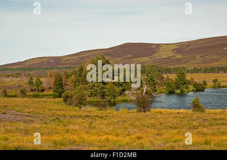 Schwarzes Loch auf dem Dava Moor Stockfoto