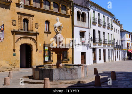 Museo de Bellas Artes in Plaza del Potro (Platz des Colt) in Córdoba, Andalusien, Spanien Stockfoto