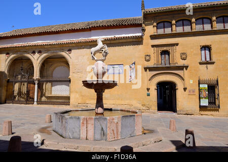 Museo de Bellas Artes in Plaza del Potro (Platz des Colt) in Córdoba, Andalusien, Spanien Stockfoto