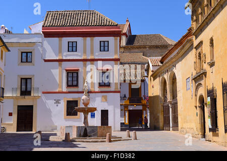 Museo de Bellas Artes in Plaza del Potro (Platz des Colt) in Córdoba, Andalusien, Spanien Stockfoto