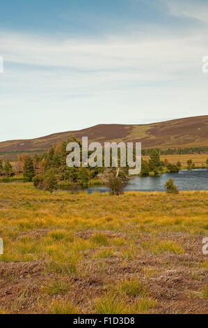 Schwarzes Loch auf dem Dava Moor Stockfoto