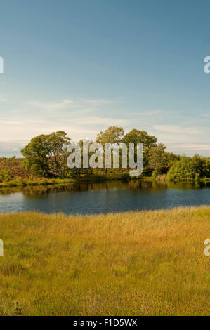 Man auf dem Dava Moor Stockfoto