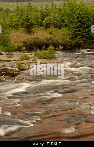 Der Otter-Pool auf des Jägers Straße Wald fahren Stockfoto