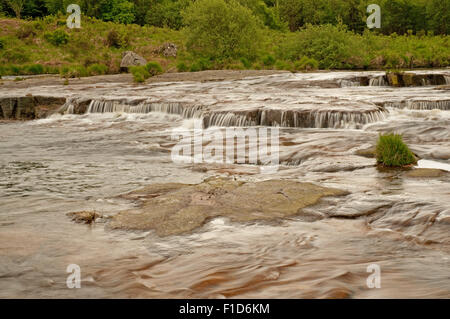 Der Otter-Pool auf des Jägers Straße Wald fahren Stockfoto