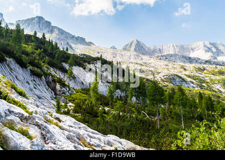 Ein Alpenblick an einem Sommertag in Italien Stockfoto