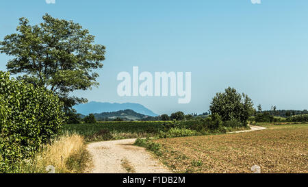 Landstraße zwischen Feldern in Italien Stockfoto