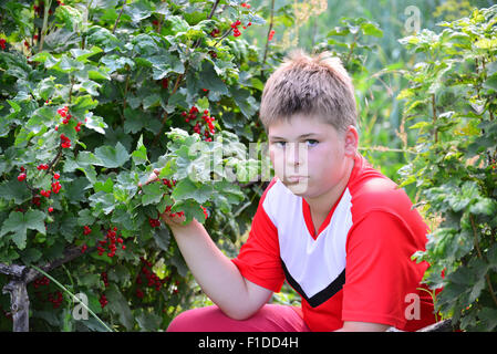 Teenager in der Nähe von roten Johannisbeeren im Garten sitzen Stockfoto