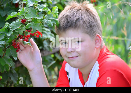 Teenager in der Nähe von roten Johannisbeeren im Garten sitzen Stockfoto