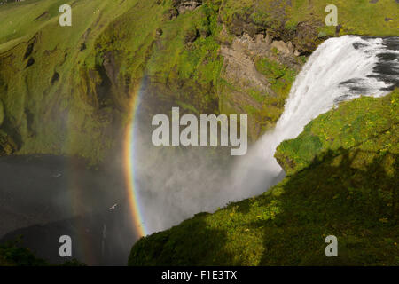 Skogafoss Wasserfall an einem sonnigen Augusttag mit einem doppelten Regenbogen im Spray & Schatten der Touristen auf dem Boden von der Aussichtsplattform. Island Stockfoto