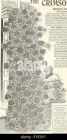 Händler und Floristen Großhandel Liste der Pflanzen (1897)