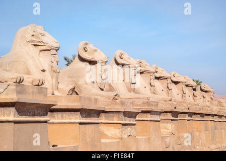 Karnak Tempel, Luxor, Ägypten, Afrika Stockfoto