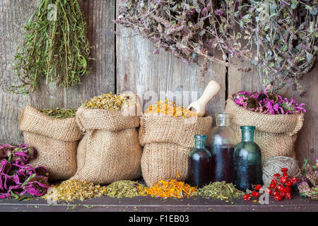 Heilkräuter in Hessischen Taschen und Flaschen von ätherischen Ölen in der Nähe von rustikalen Holzwand, Kräutermedizin. Stockfoto