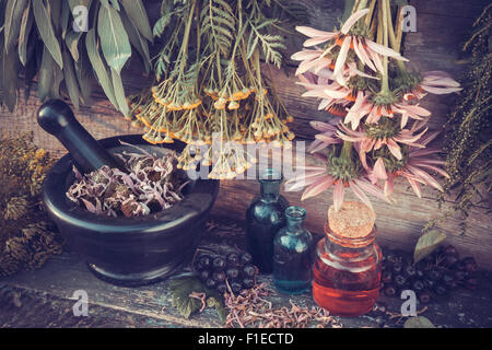 Vintage stilisierte Foto der Heilkräuter Trauben, Mörtel und Öl-Flaschen Kräutermedizin. Stockfoto