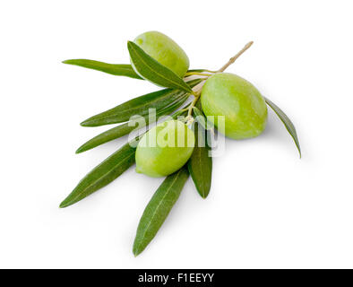 Drei Oliven mit Blättern auf weißem Hintergrund Stockfoto