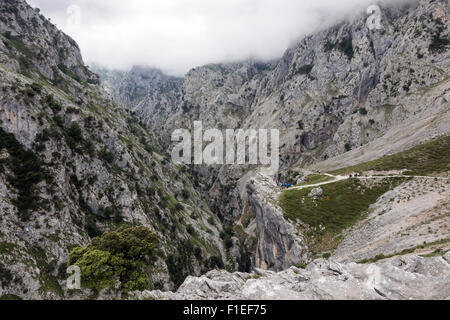 Die kümmert sich Schlucht in der Nähe von Poncebos im Nationalpark Picos de Europa Stockfoto