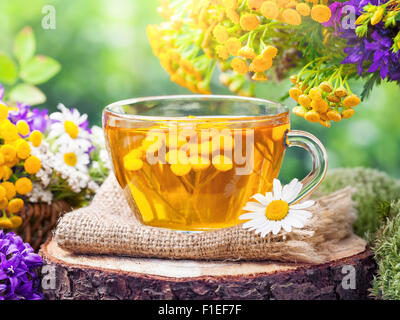 Tasse gesund wer Tee und Heilkräuter. Pflanzliche Arzneimittel. Stockfoto