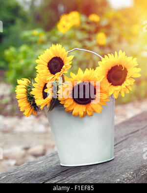 Sonnenblumen im Eimer im Freien. Hochzeitsdekorationen im rustikalen Stil. Stockfoto