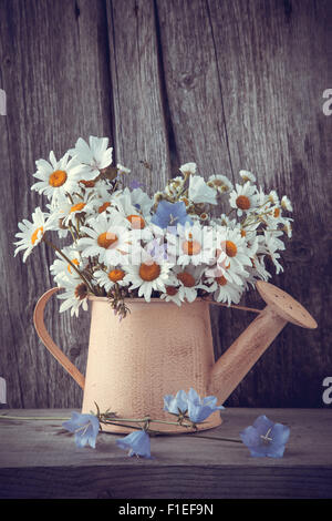 Gießkanne mit Sommer Blumenstrauß Gänseblümchen auf hölzernen Hintergrund. Retro-stilisierte Foto. Stockfoto