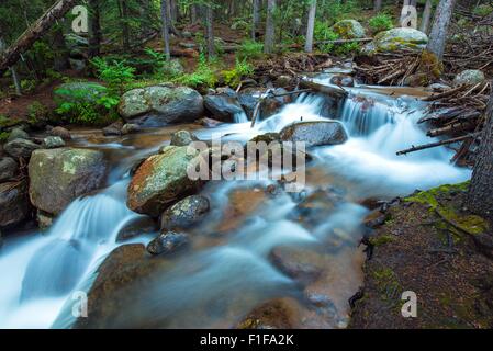 Felsige Berge Fluss. Kleinen Bergfluss Landschaft. Stockfoto