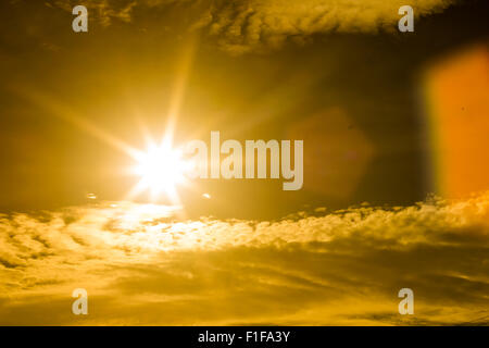 Sommer Hintergrund mit einem herrlichen Sonne platzen mit Objektiv flare. (Heiße Weißabgleich für warmes Gefühl) Stockfoto
