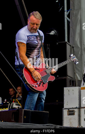 Peter Hook und das Licht Leben im siegreichen Festival 2015 Stockfoto