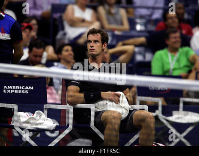 New York, USA. 01. Sep, 2015. Der Brite Andy Murray auf eine Umstellung während seiner ersten Vorrundenspiel gegen Australiens Nick Krygios bei den US Open in Flushing Meadows, New York auf 1. September 2015. Bildnachweis: Adam Stoltman/Alamy Live-Nachrichten Stockfoto