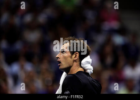 New York, USA. 01. Sep, 2015. Der Brite Andy Murray in seinem ersten Vorrundenspiel gegen Australiens Nick Krygios bei den US Open in Flushing Meadows, New York auf 1. September 2015. Bildnachweis: Adam Stoltman/Alamy Live-Nachrichten Stockfoto