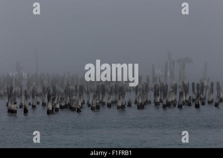 historischen Hafen in Portland, Maine Stockfoto