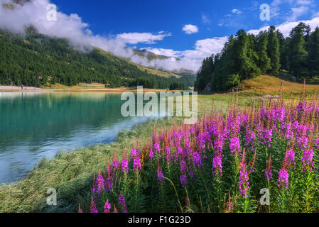 Erstaunliche sonniger Tag am Champferersee See in den Schweizer Alpen. Silvaplana-Dorf, Schweiz, Europa. Stockfoto