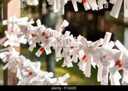 Blick entlang des Rahmens Arbeiten mit Strings ausgestreckt und viele Japanische omikuji, manchmal auch als "O-mikuji Pech fortune Papiere, Streifen, auf gebunden. Stockfoto