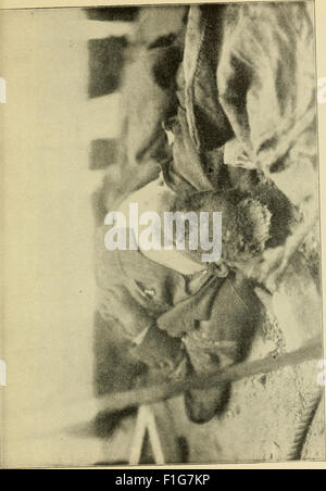 Dieser Bericht aus dem 19. Jahrhundert beschreibt das Erdbeben und Feuer in San Francisco von 1906, zusammen mit anschaulichen Beschreibungen vulkanischer Eruptionen wie dem Vesuv und wissenschaftlichen Erklärungen von Erdbeben und vulkanischen Phänomenen. Stockfoto