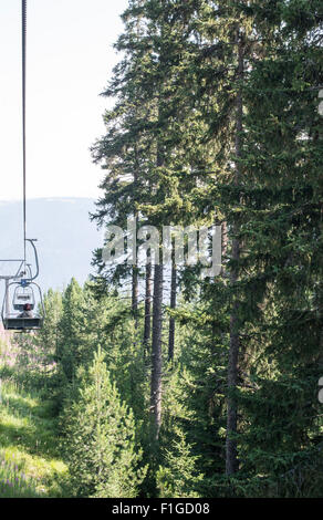 Heben Sie in den Bergen. Tannenwald. Bulgarien, Rila-Gebirge Stockfoto