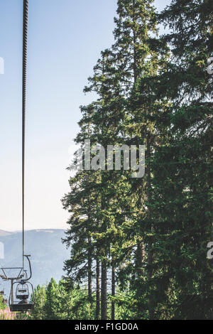 Heben Sie in den Bergen. Tannenwald. Bulgarien, Rila-Gebirge Stockfoto