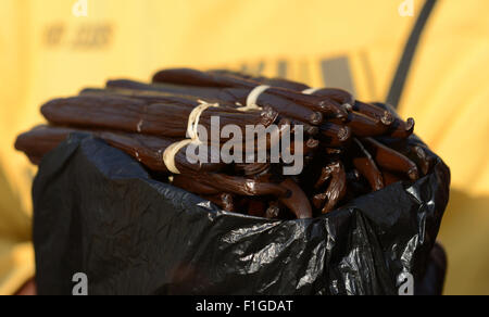 Vanilleschoten aus Madagaskar. Stockfoto