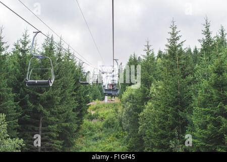 Heben Sie in den Bergen. Tannenwald. Bulgarien, Rila-Gebirge Stockfoto