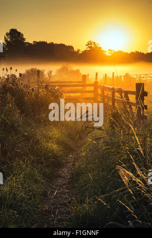 Wunderschönen Sonnenaufgang Landschaft über nebligen englische Landschaft mit glühenden Sonne Stockfoto