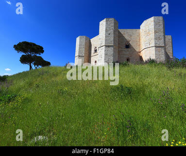 Castel del Monte, Castrum Sancta Maria de Monte, Apulien, Italien Stockfoto