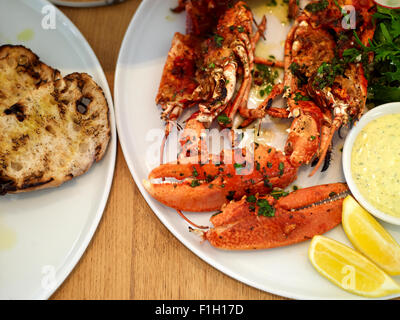 Hummer und andere Meeresfrüchte auf einem Teller, dekoriert mit Zitrone, Remoulade, Olivenöl und Gewürzen. Stockfoto