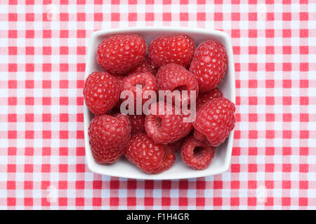 Rubus idaeus "Autumn Bliss". Freshly picked raspberries. Stockfoto