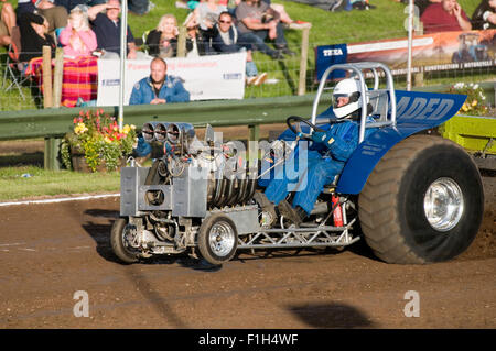 Mini-Puller mit einem v8 Rodeck Chevy Motor racing in einem Traktor Pull Event konkurrieren mit Kompressor Stockfoto