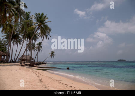 Isla Aguja, Archipel San Blas Inseln, Panama, Mittelamerika. Blick auf Kokospalmen am weißen Sandstrand Stockfoto