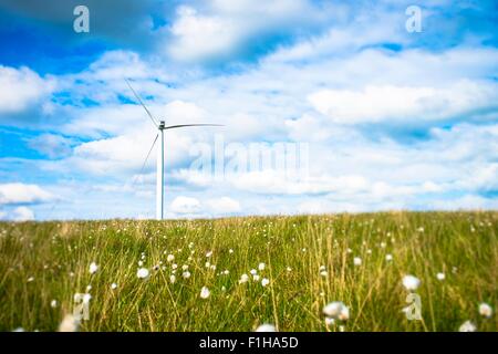 Ansicht der Windkraftanlage im Bereich der Wollgräser, UK Stockfoto