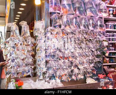 Fische zu verkaufen, Fisch Markt, Mongkok, Hong Kong, China Stockfoto