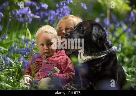 Kleiner Junge sitzt mit Babyschwester und Hund im Wald Glockenblume Stockfoto