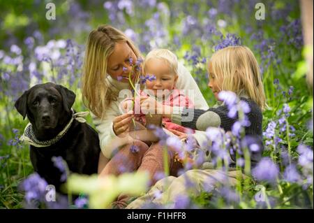 Mutter mit Kindern und Hund in Bluebell Wald sitzen Stockfoto