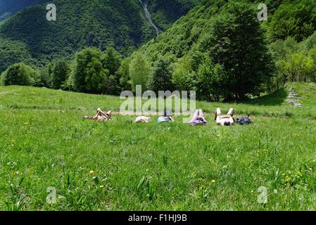 Fünf ältere Wanderer liegen in der Wiese eine Pause Stockfoto