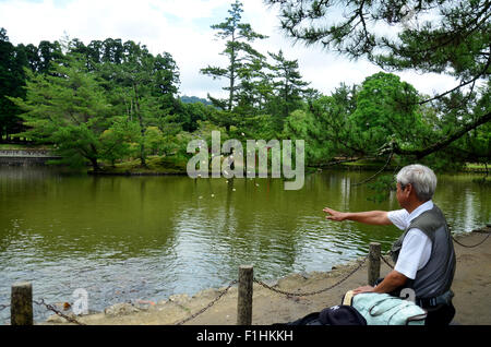 Alter Mann Fütterung Phantasie Karpfen oder Koi Fische im Teich im Garten des Tōdai-Ji Tempel am 9. Juli 2015 in Nara, Japan Stockfoto