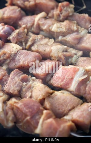 Aufgespießt mariniertes rohes, rotes Fleisch, Schwein und Lamm Schaschlik Shish Kebab Grill Stockfoto